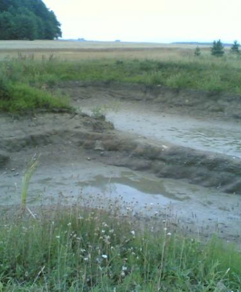 Klaipėdos r. Dargužių k. 25 arai